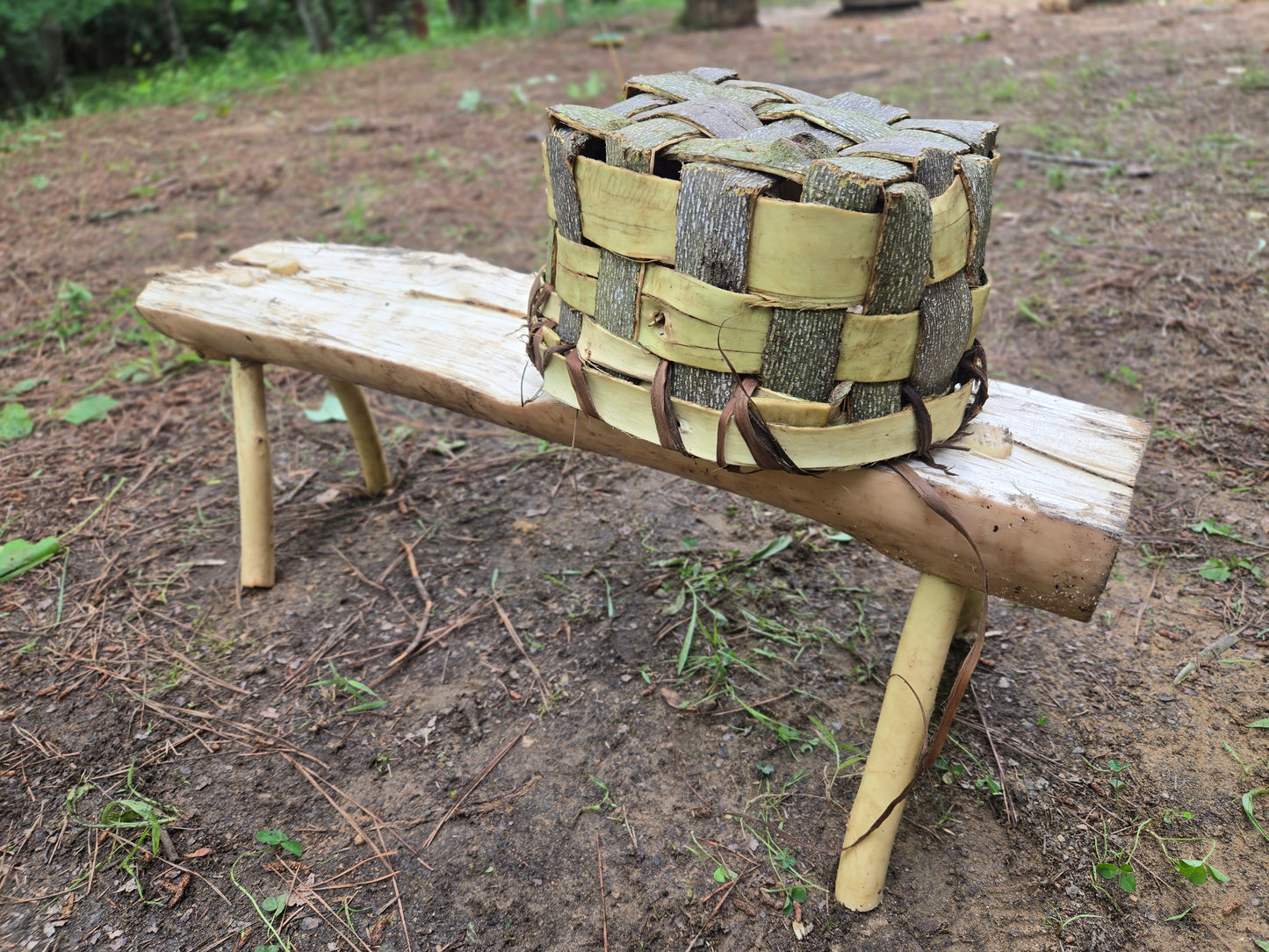 Wilderness Wise: Exploring Essential Outdoor Skills