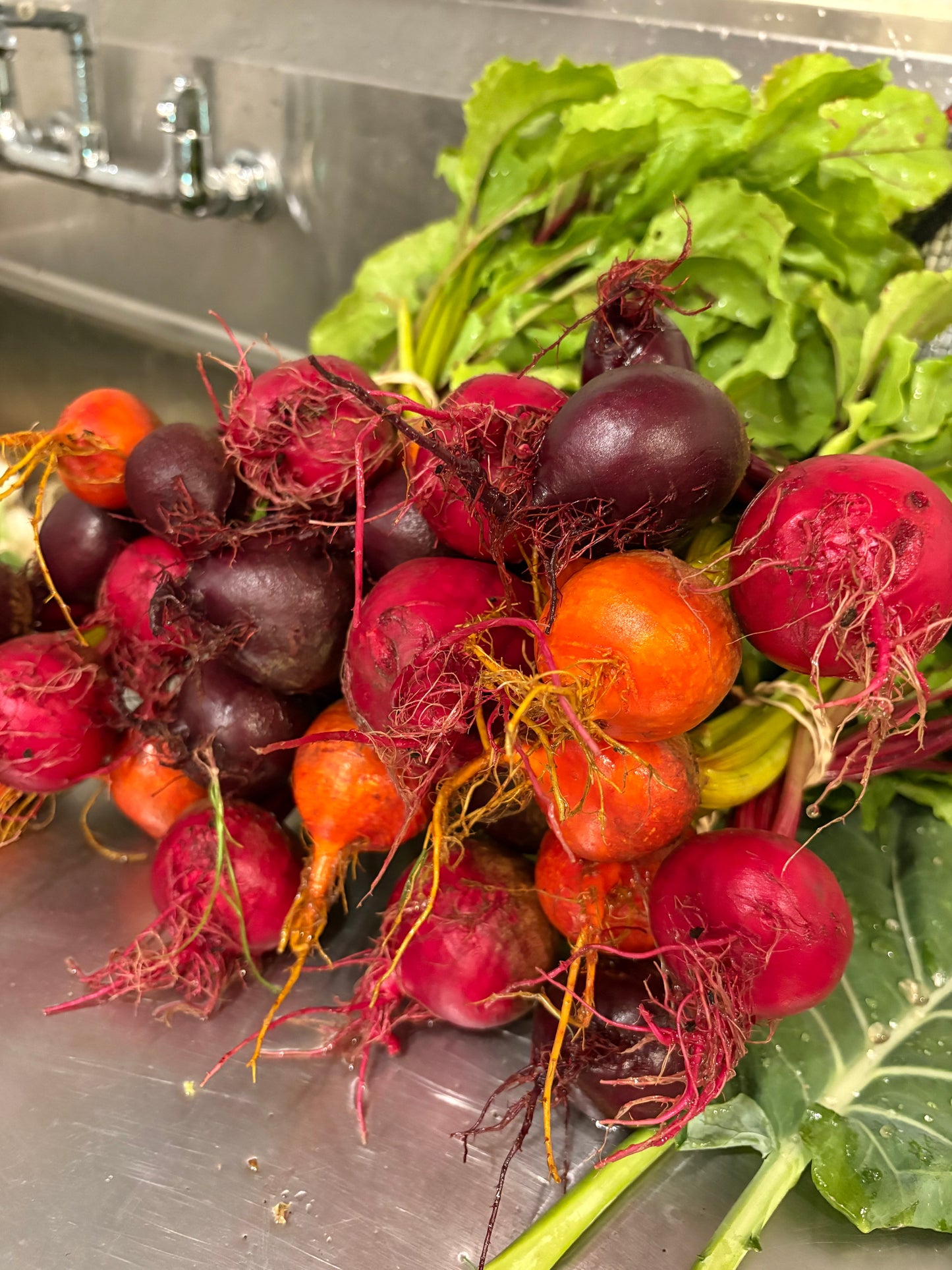 Mixed Baby Beets