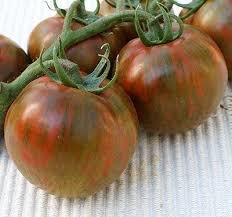 Heirloom Tomato Plants