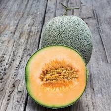 Cucumber & Melon Plants
