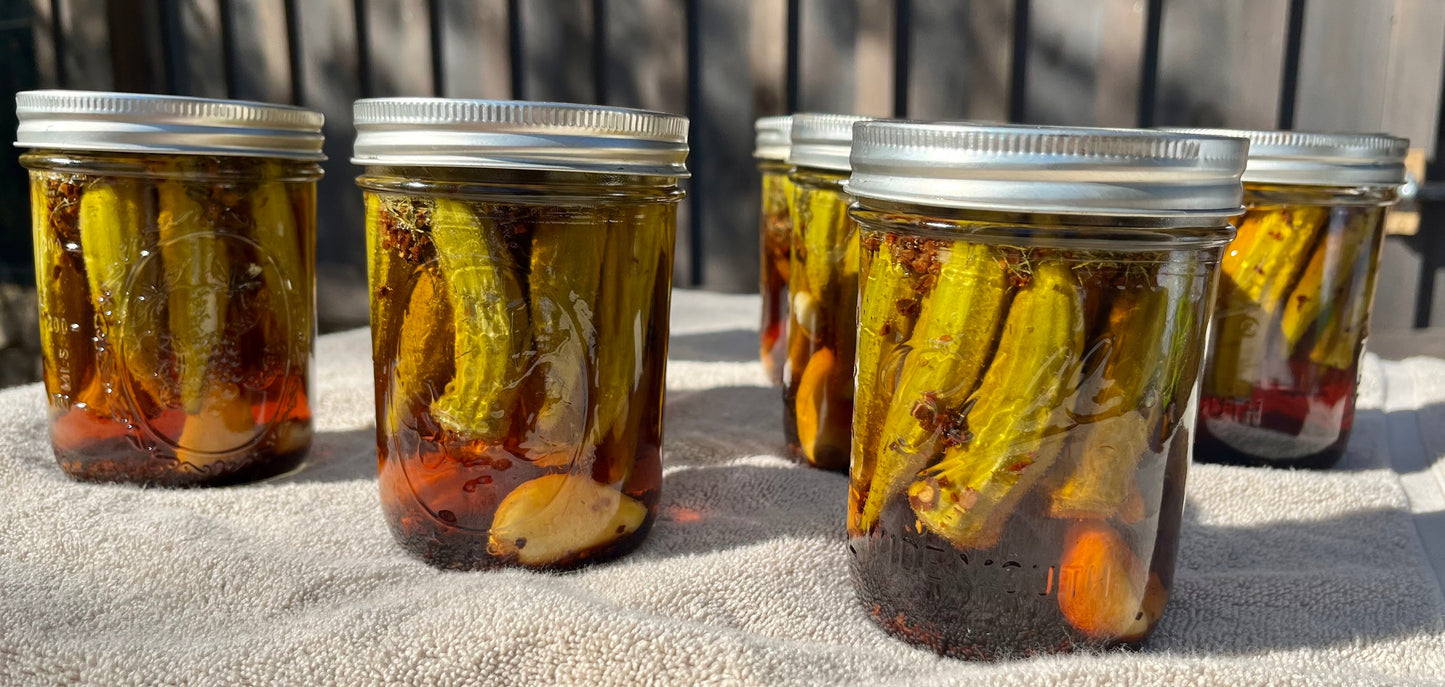 Five glass mason jars filled with pickled cucumbers and garlic cloves, sealed with silver metal lids, arranged outdoors in direct sunlight.