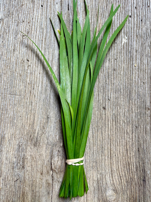 Fresh Herbs