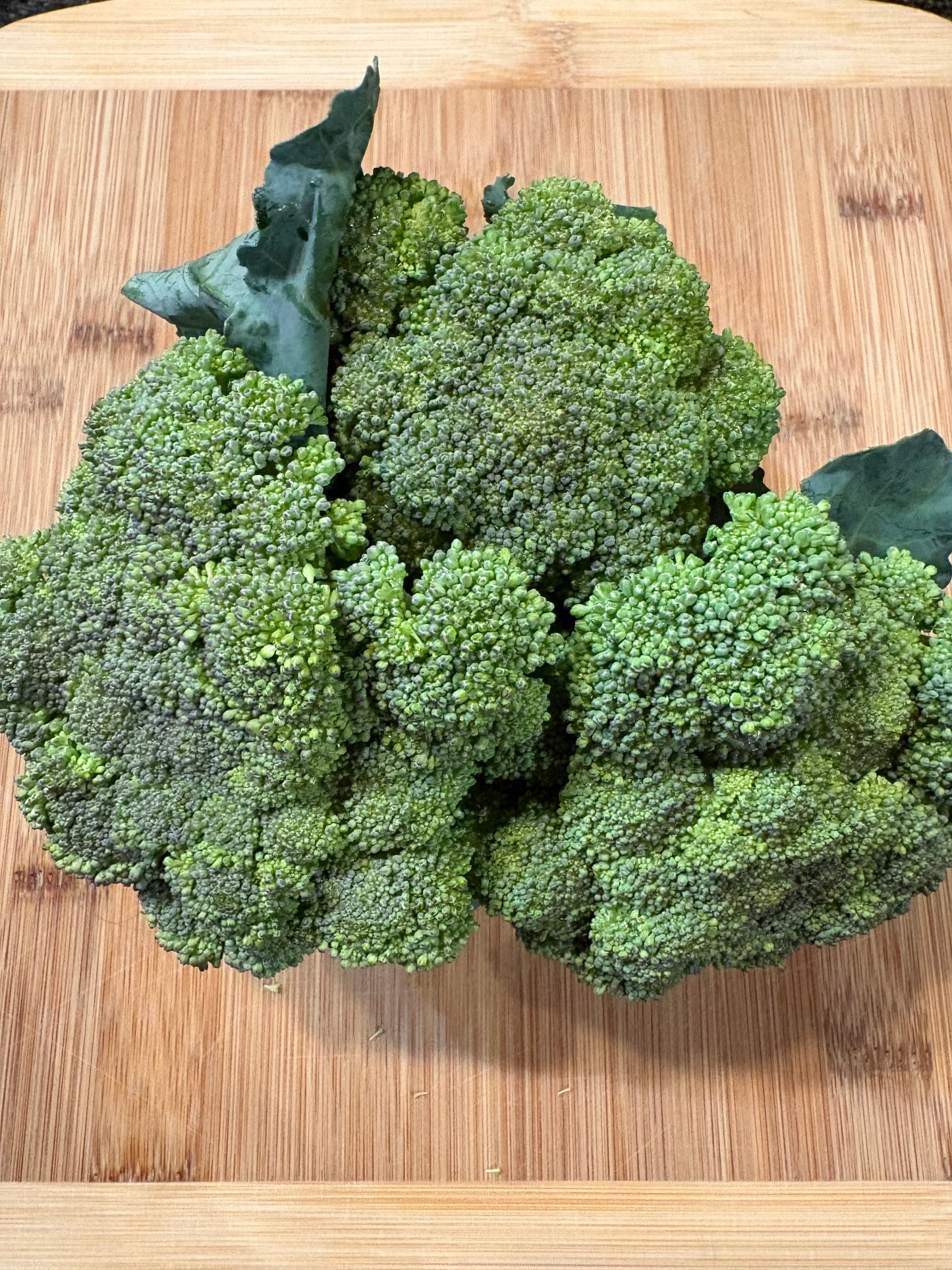 Broccoli