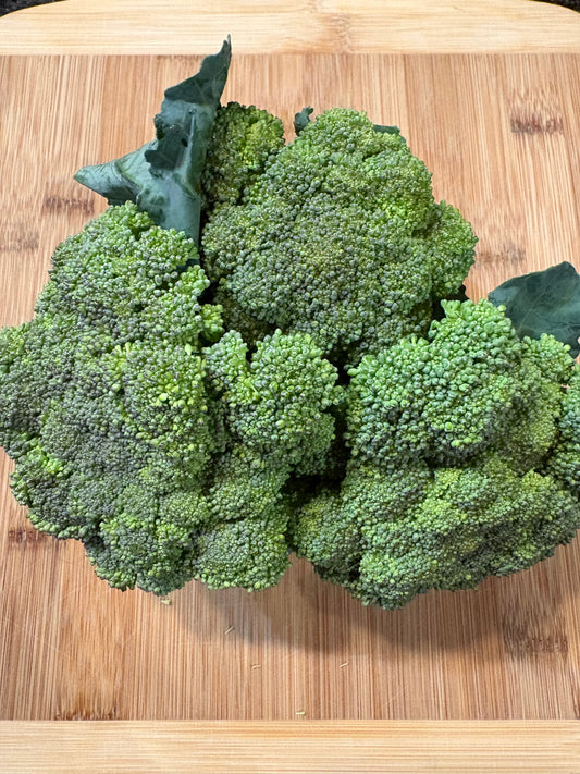 Broccoli