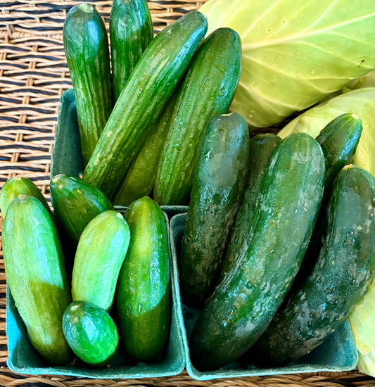 Cucumbers