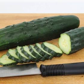 Cucumber & Melon Plants