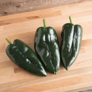 Hot Pepper Plants