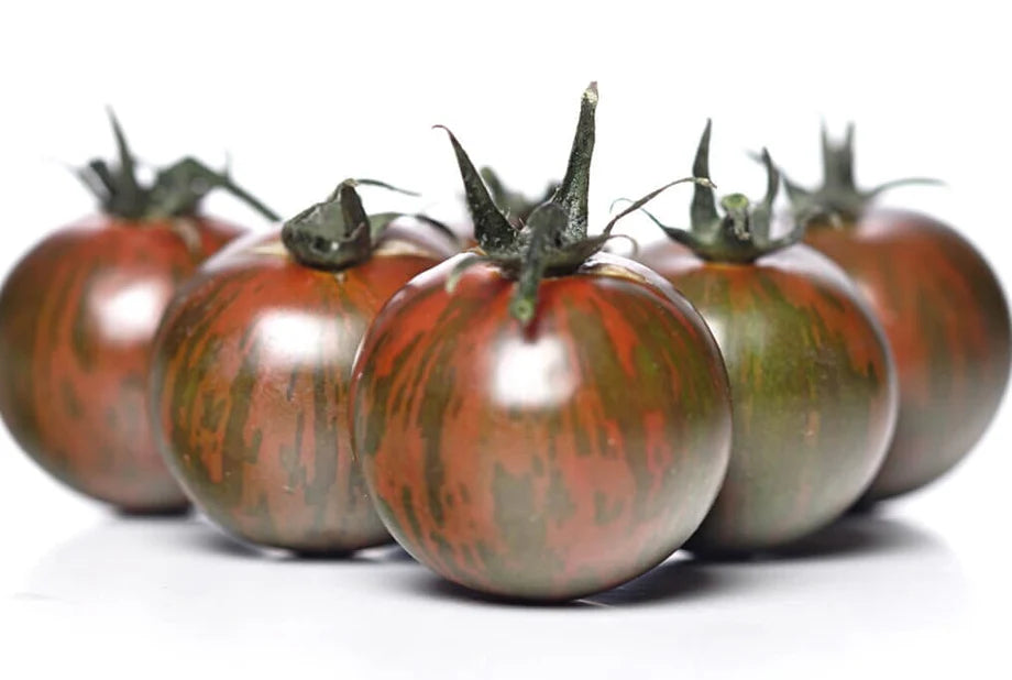Heirloom Tomato Plants