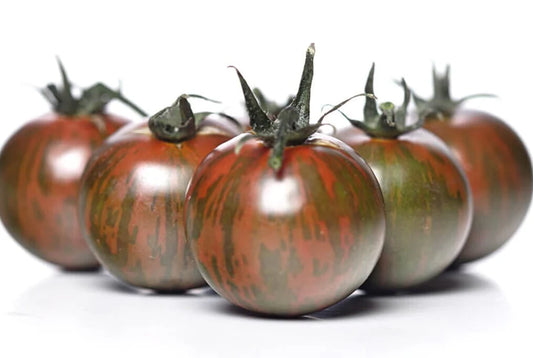 Heirloom Tomato Plants