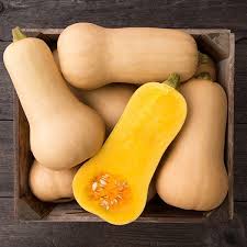 Winter Squash & Pumpkin Plants