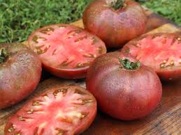 Heirloom Tomato Plants