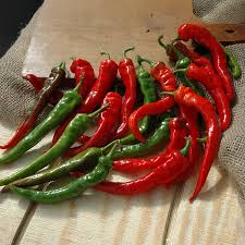 Hot Pepper Plants