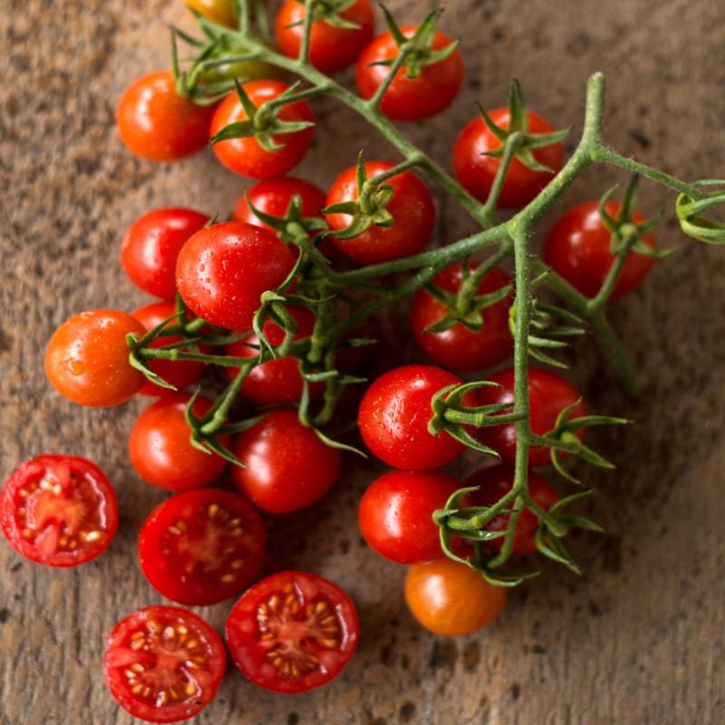 Cherry Tomato Plants