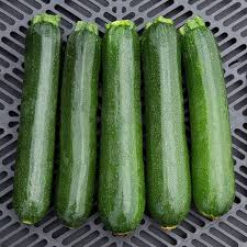 Summer Squash Plants