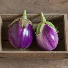 Eggplant Plants