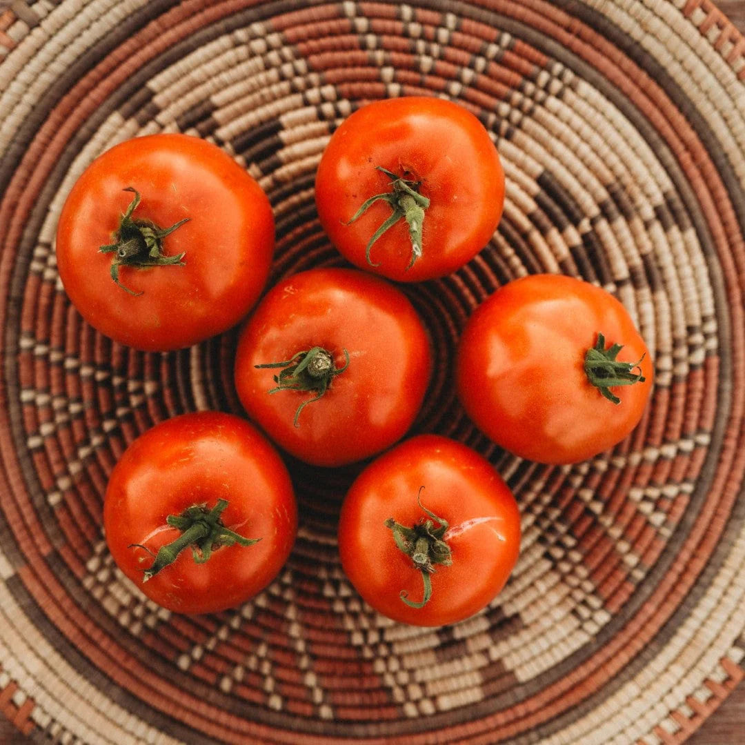 Heirloom Tomato Plants