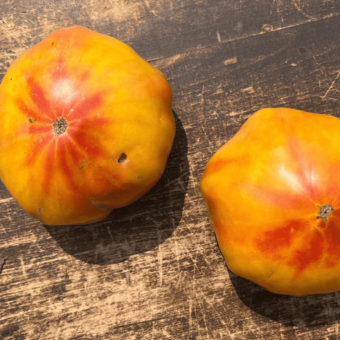 Heirloom Tomato Plants