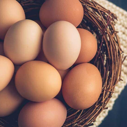 Fresh Eggs