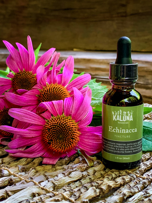 Echinacea Tincture